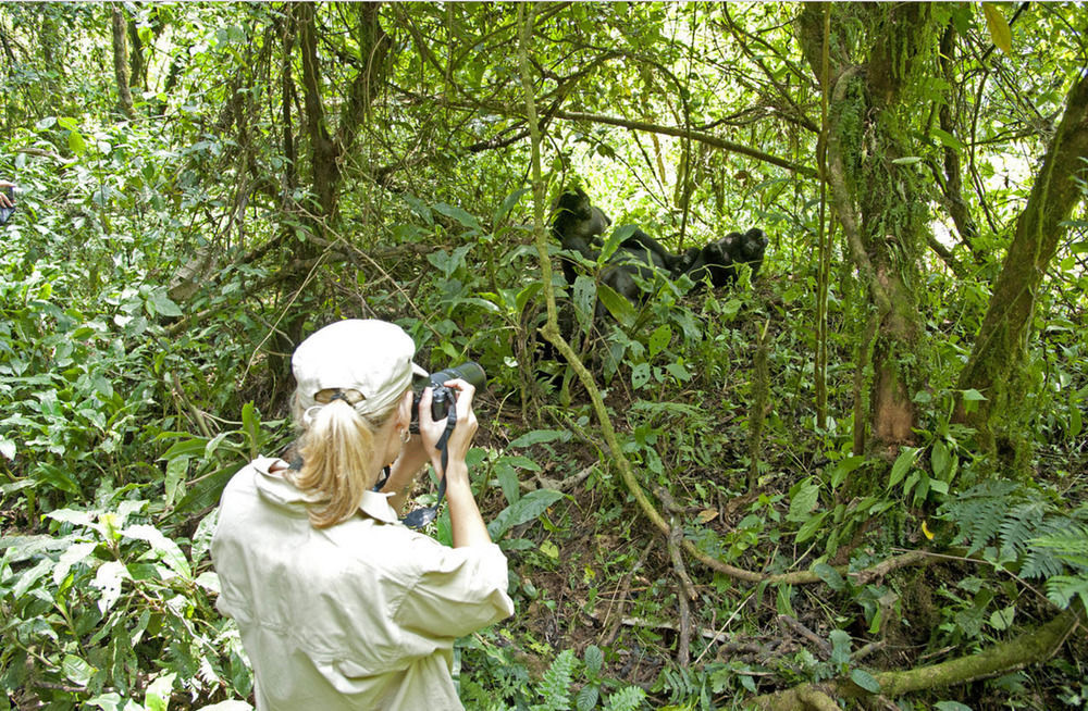 Sanctuary Gorilla Forest Camp Hotel Ntungamo  Exterior foto
